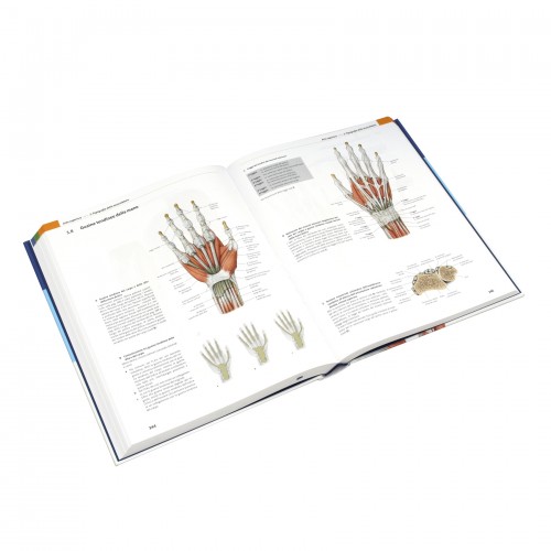 Anatomia Umana - Prometheus Martini - Cofanetto completo