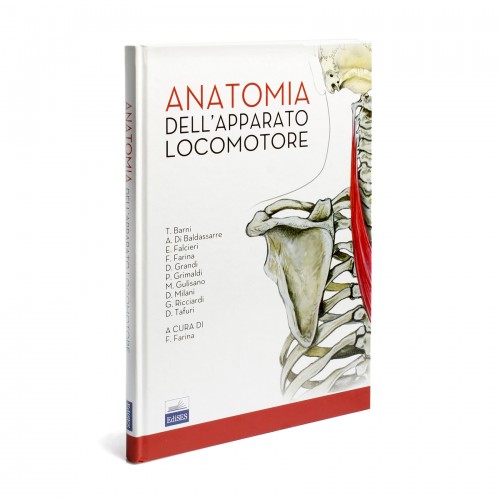 Anatomia dell'apparato locomotore
