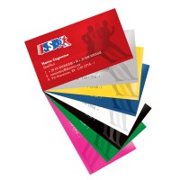 300 Bigliettini da Visita 300 Bigliettini da Visita