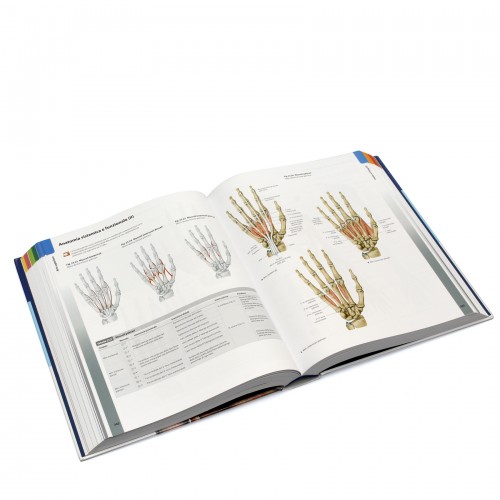 Prometheus - Atlante di Anatomia