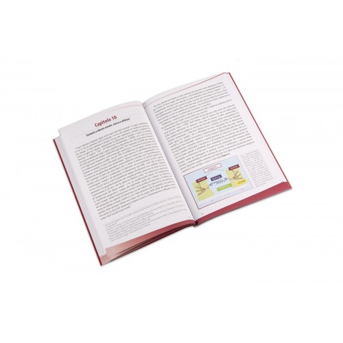 Gli aminoacidi. Lettere di un alfabeto più antico della vita