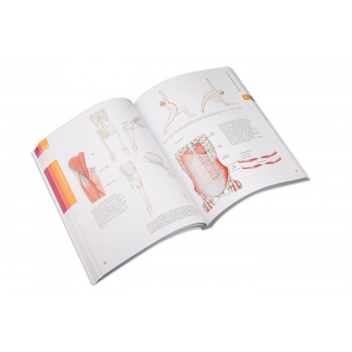 Meridiani miofasciali. Percorsi anatomici per i terapisti del corpo e del movimento